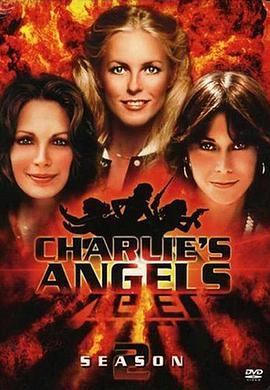 查理的天使霹雳娇娃第二季 第11集