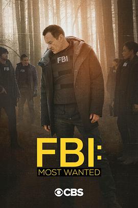 联邦调查局通缉要犯第二季 第10集