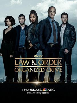 法律与秩序：组织犯罪第三季 第21集