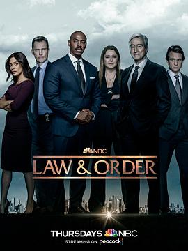 法律与秩序第二十二季 第17集