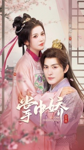 掌中娇94集(全集)