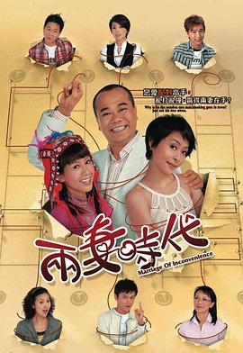 两妻时代国语 第14集