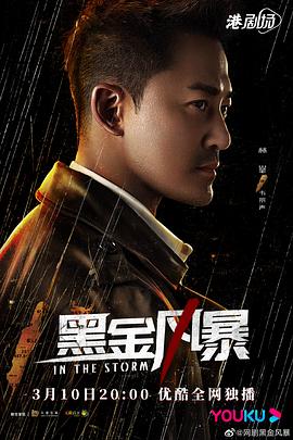 黑金风暴国语 第03集