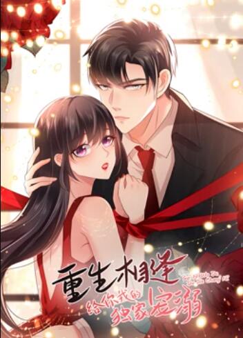 重生相逢：给你我的独家宠溺 动态漫画 第04集