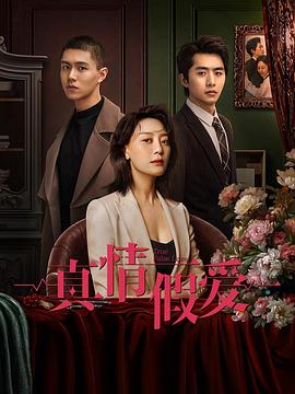 真情假爱2023 第13集
